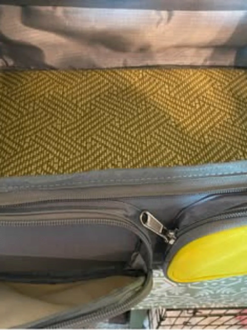 Gray and Yellow Soft-Sided Dog Carrier Travel Bag